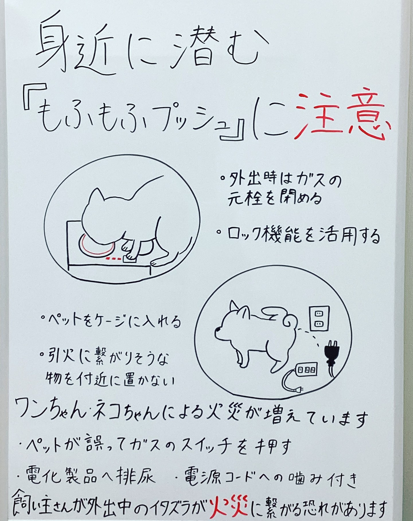 もふもふプッシュにご注意ください | おしらせ | 大田区の動物病院なら 