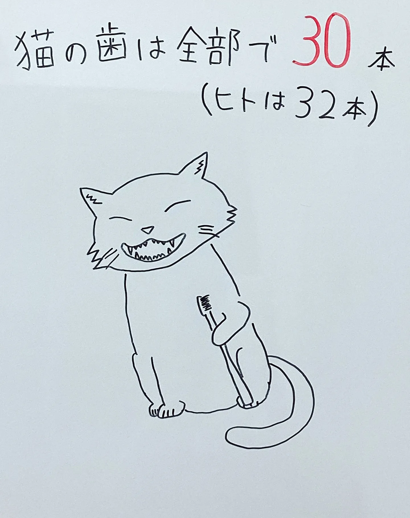 猫さんは口内炎になりやすい