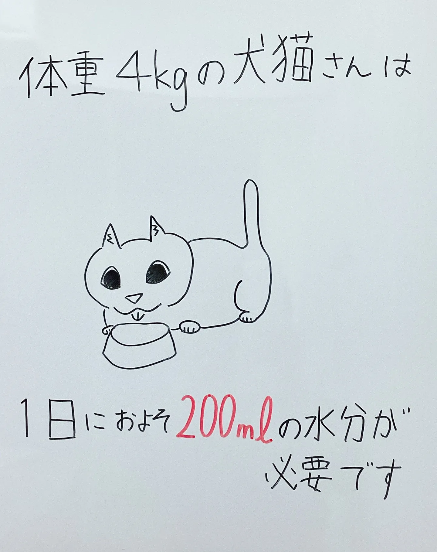 1日に必要な水分って？