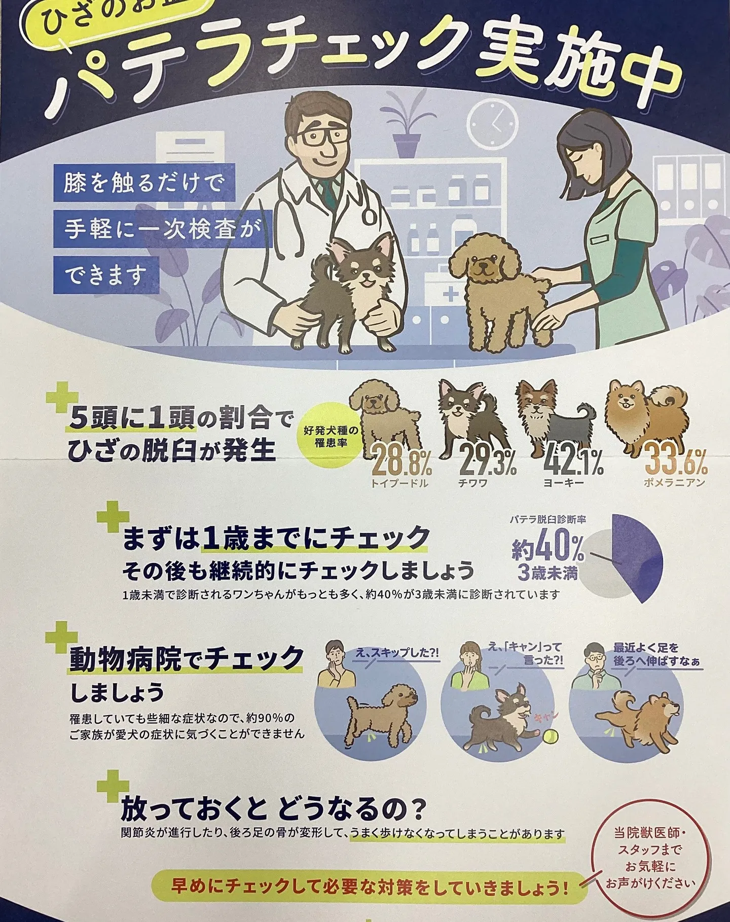 膝や腰の状態もチェックできます