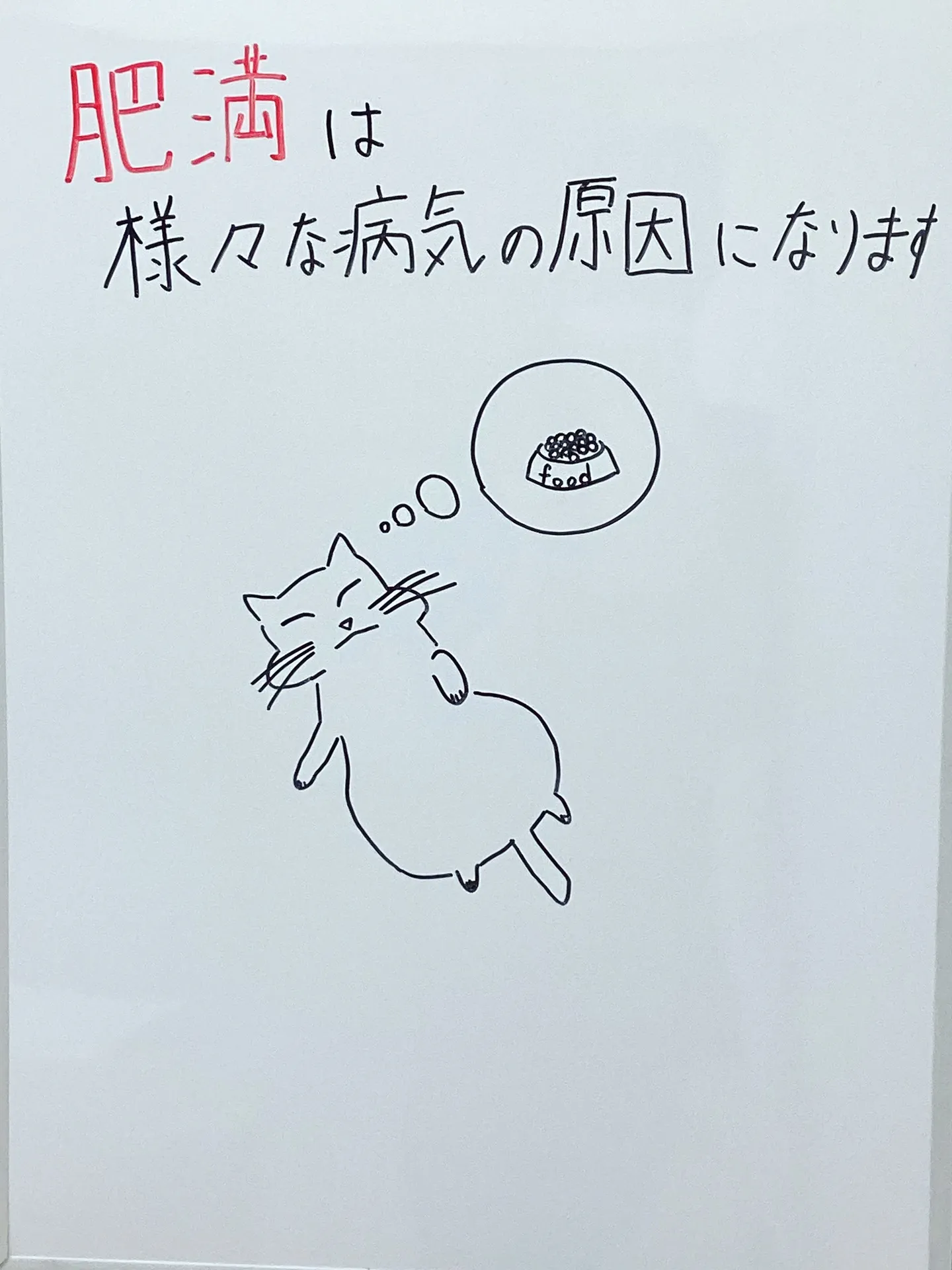 正月太りにご注意ください