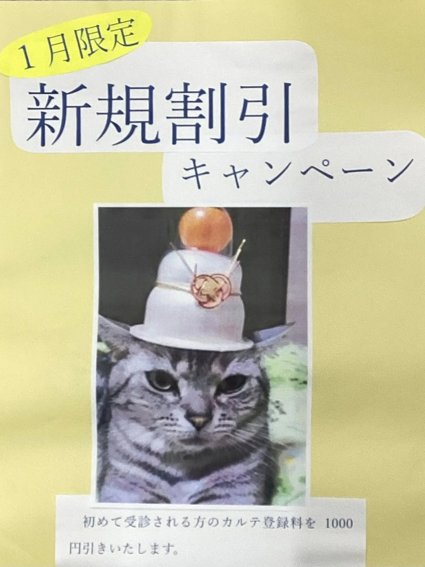 新規登録キャンペーン月間です