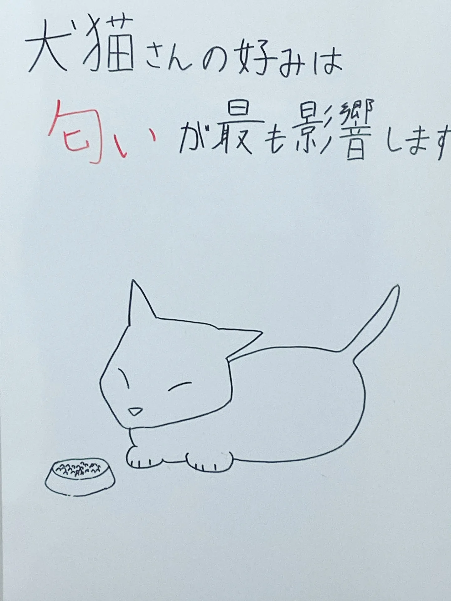 フードの好き嫌いがある場合は