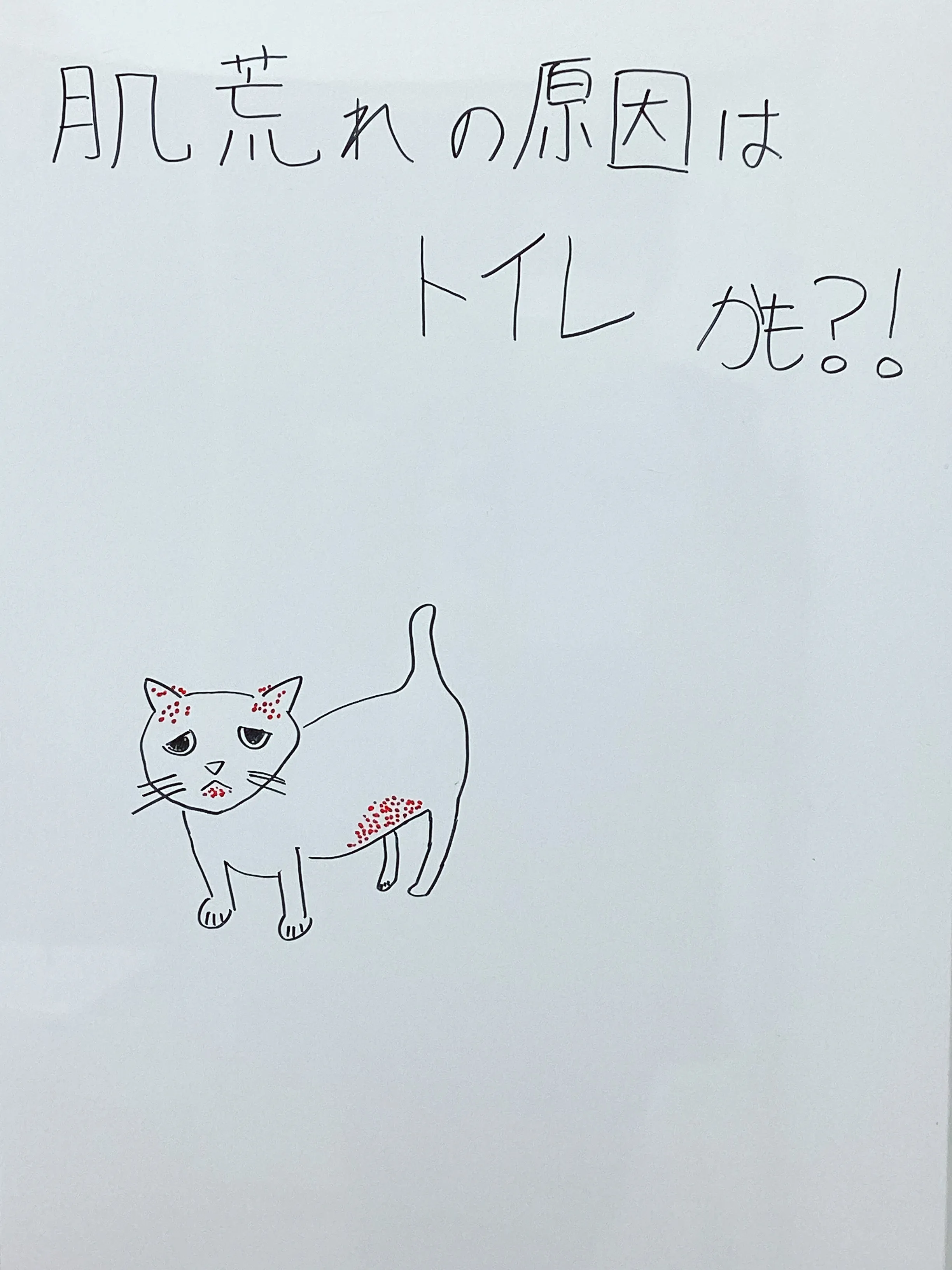 痒みの原因はトイレかも？